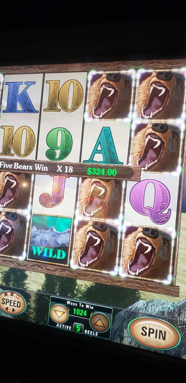 Dotty's Casino
