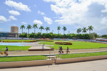Flagler Dog Track & Entertainment
