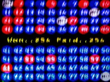 Rushmore Casino
