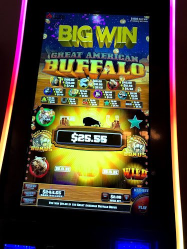 Heartlands Casino
