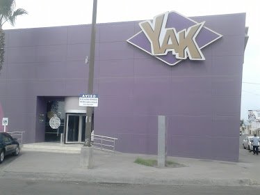 Yak